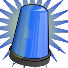 Profile picture of Optional