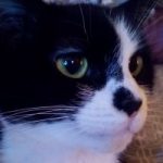 Profile picture of forumite