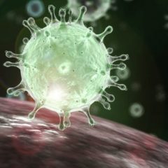 Group logo of Coronavirus, Corona Virus, Covid-19